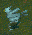 River Chocobos
