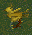 Ocean Chocobos