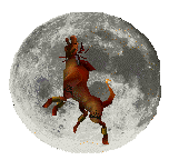 Howling Moon