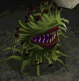 Malboro